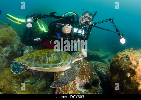 Fotografo subacqueo di scattare le foto della tartaruga a Laje de Santos stato marino Park, stato di São Paulo a riva, Brasile Foto Stock