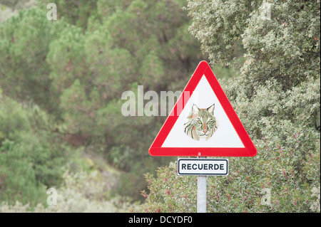 Lo spagnolo Lynx segno di traffico della Sierra de Andujar Parco Naturale di Spagna Foto Stock