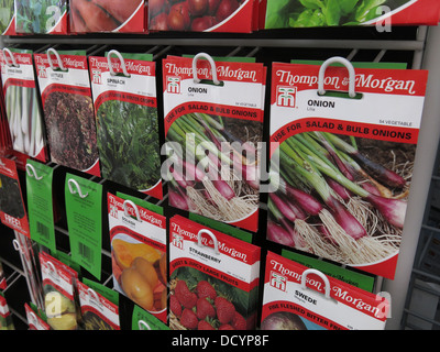 Onion Thompson & Morgan Giardino riparto delle confezioni di semi nel centro giardino / supermarket, ora popolari nuovamente th Gran Bretagna Foto Stock