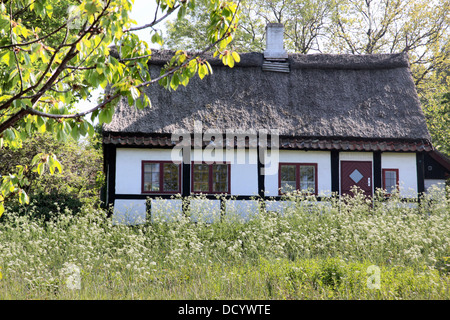 Idilliaco paese cottage con molla sul prato di Bornholm, Danimarca Foto Stock