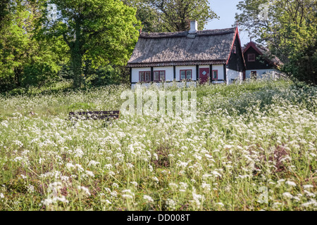 Idilliaco paese cottage con molla sul prato di Bornholm, Danimarca Foto Stock