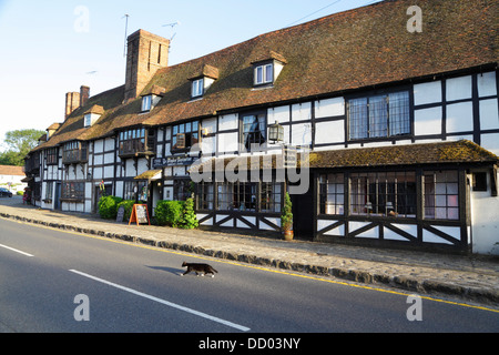 Bianco e nero cat attraversamento strada di fronte tessitori medievale' case, Maydes Ristorante, Biddenden, Kent, England, Regno Unito Foto Stock