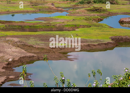 Kerala zona agricola. India del sud Foto Stock