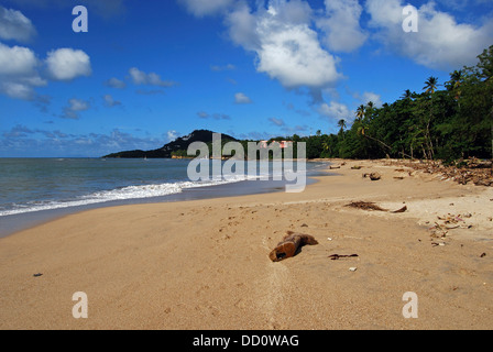 Vista lungo la spiaggia, Castries, Santa Lucia, dei Caraibi. Foto Stock