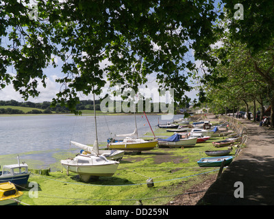 Le barche attraccate al angolo soleggiato Malpas Truro Cornwall Regno Unito Foto Stock