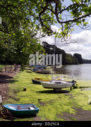 Le barche attraccate al angolo soleggiato Malpas Truro Cornwall Regno Unito Foto Stock