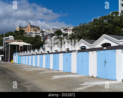 Dh Lambton Porto Wellington NUOVA ZELANDA COLORATI PORTE boatshed Clyde Quay Marina St Gerards Monastero Foto Stock