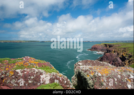 Vista lungo la costa da Mad Bay Point, Skokholm, South Pembrokeshire, Wales, Regno Unito Foto Stock