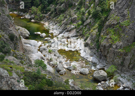Paesaggio di montagna lungo la Scala di Santa Regina road, Niolo Valley, centrale Monti, Corsica, Francia Foto Stock