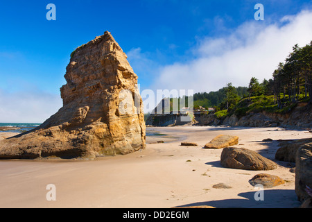 La bassa marea e le formazioni rocciose a Otter la spiaggia di roccia; Oregon, Stati Uniti d'America Foto Stock