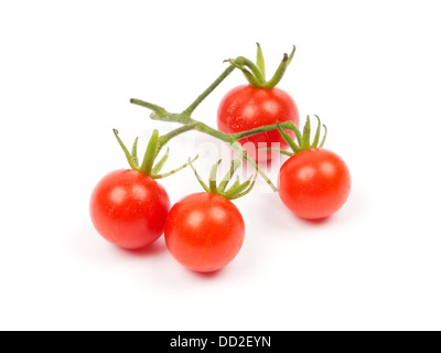 Freschi pomodori ciliegini tagliati isolati su sfondo bianco Foto Stock