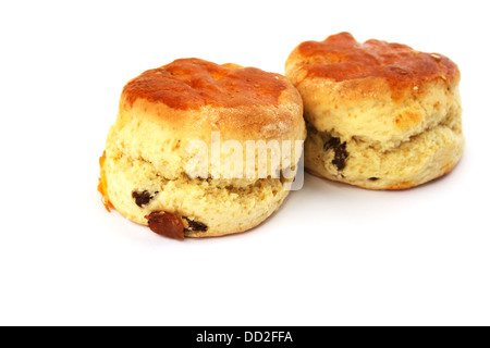 Due muffin freschi isolati su sfondo bianco. Foto Stock