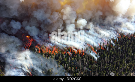 Vista aerea di fumo e di fiamme dal druido complesso wildfire Agosto 19, 2013 nel Parco Nazionale di Yellowstone, MT. La wild incendi avviato da un fulmine colpisce non hanno chiuso il parco per i visitatori. Foto Stock