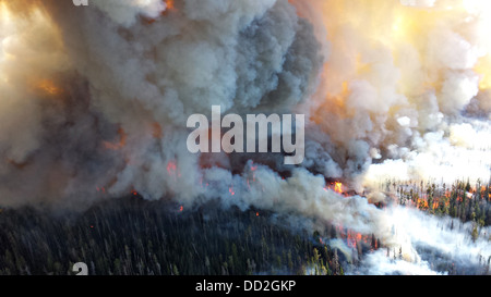 Vista aerea di fumo e di fiamme dal druido complesso wildfire Agosto 19, 2013 nel Parco Nazionale di Yellowstone, MT. La wild incendi avviato da un fulmine colpisce non hanno chiuso il parco per i visitatori. Foto Stock