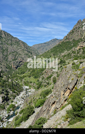 Paesaggio di montagna lungo la Scala di Santa Regina road, Niolo Valley, centrale Monti, Corsica, Francia Foto Stock