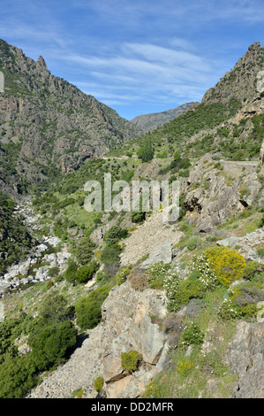 Paesaggio di montagna lungo la Scala di Santa Regina road, Niolo Valley, centrale Monti, Corsica, Francia Foto Stock