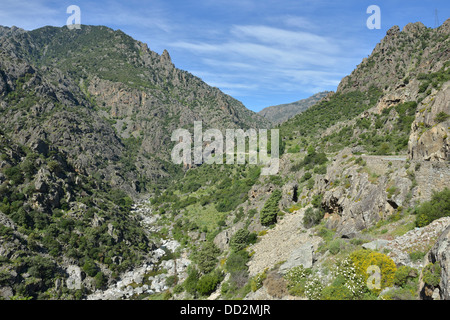 Paesaggio di montagna lungo la Scala di Santa Regina road, Niolo Valley, centrale Monti, Corsica, Francia Foto Stock