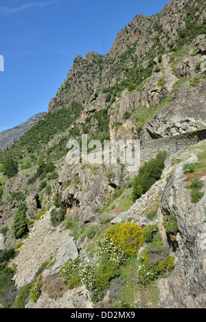 Paesaggio di montagna lungo la Scala di Santa Regina road, Niolo Valley, centrale Monti, Corsica, Francia Foto Stock