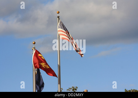 Americani e Fleur de Lis bandiere Foto Stock