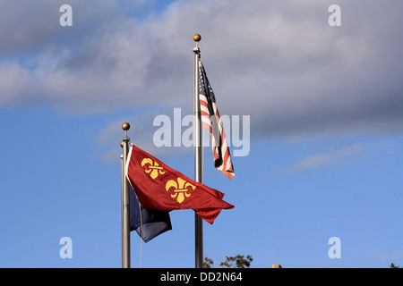 Americani e Fleur de Lis bandiere Foto Stock