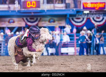 Un ragazzo a cavallo di una pecora durante un montone rompendosi concorso presso il Reno Rodeo un Rodeo Professionale tenutasi a Reno Nevada Foto Stock