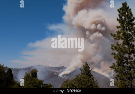 Prati Buck, CA, Stati Uniti d'America. 23 Ago, 2013. Il fuoco funziona il suo modo attraverso il pendio orientale del fiume Tuolumne vicino alla cabina della carta Ridge venerdì pomeriggio. Il cerchio Incendio di Stanislao National Forest lungo l'autostrada 120 continua a crescere. Secondo la US Forest Service come di venerdì 23 agosto 2013 pomeriggio il fuoco è cresciuto a 125,620 acri con solo il 5 per cento di contenimento più con le evacuazioni in Tuolumne City, CA e nelle aree vicine lungo la statale 108 corridoio. Il fuoco continua a diffondersi in diverse direzioni comprese verso il Parco Nazionale di Yosemite. Credito: Marty Bicek/ZUMAPRESS.com/Alamy Live News Foto Stock