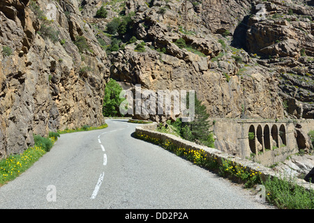 Paesaggio di montagna lungo la Scala di Santa Regina road, Niolo Valley, centrale Monti, Corsica, Francia Foto Stock