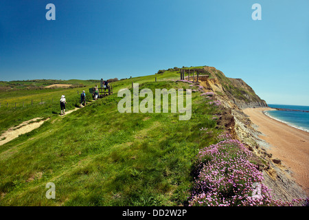 Guardando ad est da Seatown spiaggia lungo il SW via costiera verso Oriente Ebb punto, Dorset, England, Regno Unito Foto Stock