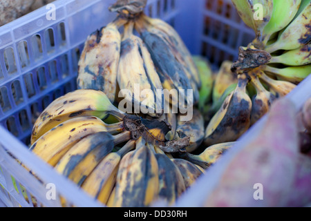 Banana appeso nel mercato asiatico, primo piano Foto Stock