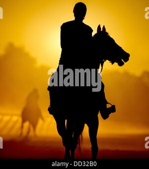 24 agosto 2013 - Saratoga Springs, New York, Stati Uniti - Cavalli esercizio all'alba nella nebbia mattutina sulla formazione di Oklahoma via sul circuito di Saratoga in preparazione per il Travers Stakes giorno. (Credito Immagine: © Scott Serio/eclipse/ZUMAPRESS.com) Foto Stock