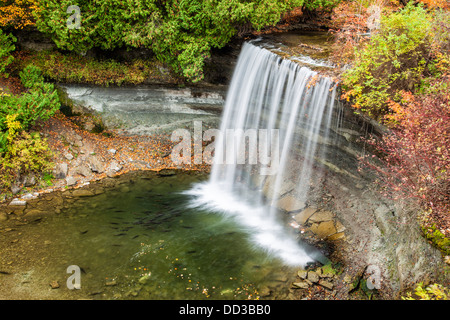 Bridal Veil Falls, Kagawong, Manitoulin Island, Ontario, in autunno, con salmone che si riproduce nel suo pool. Foto Stock