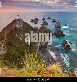 Nugget Point cape in Kaimataitai, Isola del Sud, Nuova Zelanda Foto Stock