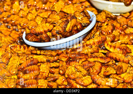 Baco da seta fritto Foto Stock