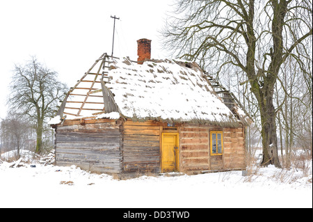 Tradizionale cottage con il tetto di paglia ricoperta di neve, Regione Mazovia, Polonia Foto Stock