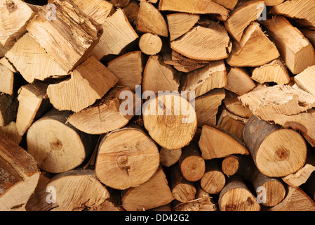 Tritate a secco di legna da ardere logs impilati gli uni sugli altri in una pila Foto Stock