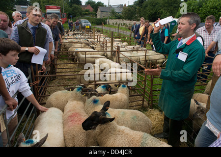 Finale del prezzo concordato per gli ovini per asta all'antica Priddy annuale Fiera di pecora nel Somerset, Inghilterra. Foto Stock