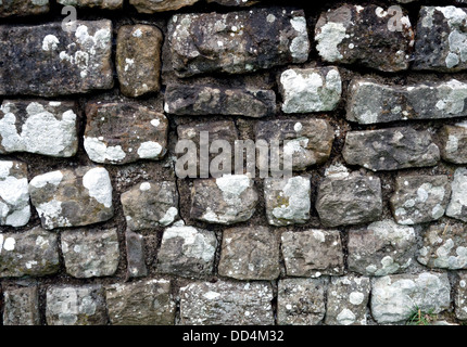 Close up della sezione del Muro di Adriano nei pressi di Hexham, Northumberland, Inghilterra Foto Stock