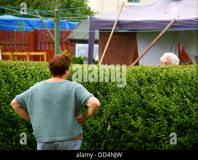 Vicini tallking su giardino hedge Foto Stock