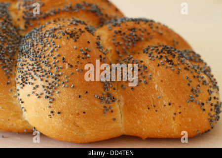 Challah pane con semi di papavero, close up Foto Stock