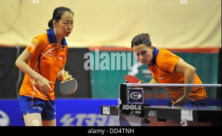 Linda Creemers (destra) e Li Jiao (sinistra) dai Paesi Bassi in azione durante la finale di doppio femminile contro Katarzyna Grzybowska e Natalia Partyka di Polonia durante il tour mondiale nel torneo di Olomouc, Repubblica Ceca, Agosto 25, 2013. (CTK foto/Ludek Perina) Foto Stock