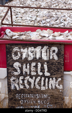 Guscio di ostrica riciclaggio Whitstable Kent REGNO UNITO Foto Stock