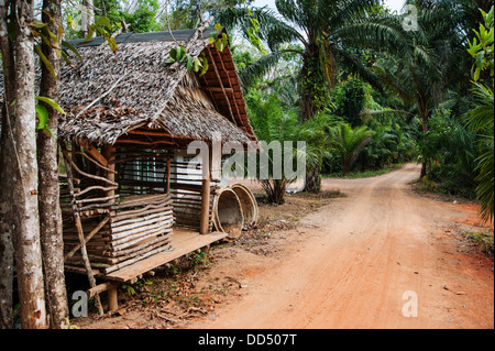 Vecchia casa in legno nei tropichi Foto Stock