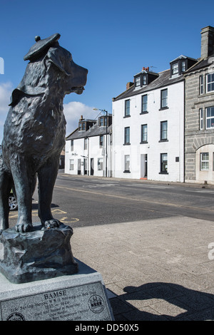 Mare cane Bamse memorial in Montrose Foto Stock