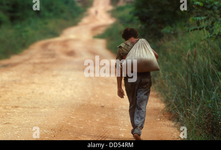 Non asfaltato strech di autostrada Trans-Amazonian designazione ufficiale BR-230 Rodovia Transamazônica Para Stato, Amazon rain forest Foto Stock