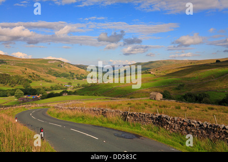 Muker e Swaledale da Buttertubs Pass Road, North Yorkshire, Yorkshire Dales National Park, Inghilterra, Regno Unito. Foto Stock