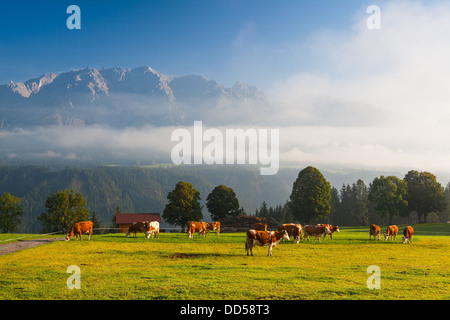 In una fattoria in alta montagna in Austria Foto Stock