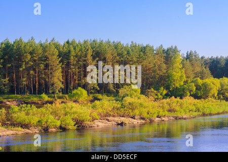 Estate Paesaggio con fiume e foresta. Foto Stock