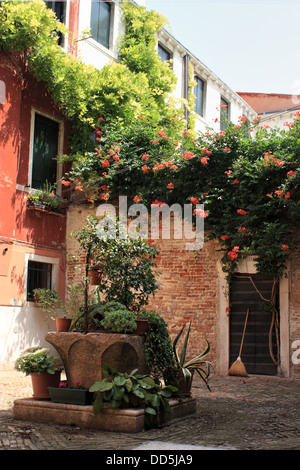 Corte del Calderer. Acqua piantate bene in un cortile veneziano quartiere di Santa Croce. Foto Stock