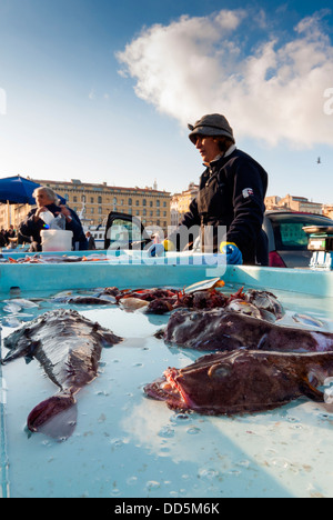 Domenica il mercato del pesce a Vieux Port, Marseille, Bouches-de-Rhone, Provence-Alpes-Côte-d'Azur, in Francia, in Europa Foto Stock