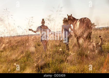 Croazia, Dalmazia, giovani donne a cavallo in un prato, vista posteriore Foto Stock